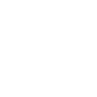 narap's emblem