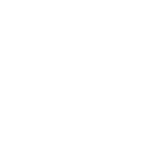 skvaerz's emblem