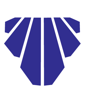 MSI2011INC's emblem