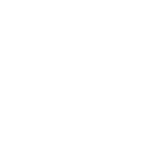 xBlease3011's emblem