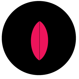 CopaCaptain's emblem