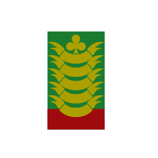 SgtSpaceCactus's emblem