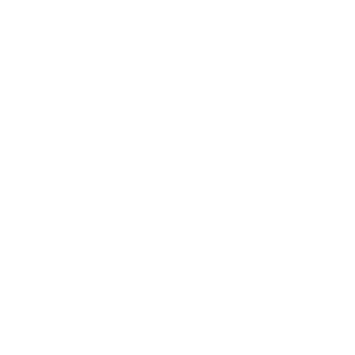 NETLIXO150's emblem