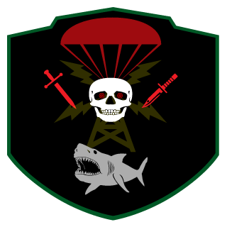 SDK4VER's emblem