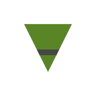 the bat turtle's emblem