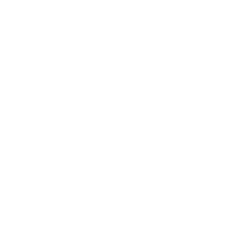 uX_am1r's emblem