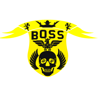 BOSSgt1985's emblem