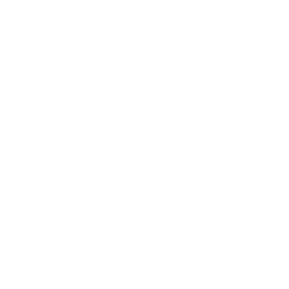 Myspiritwillgoon's emblem