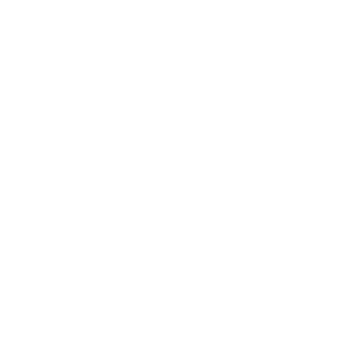 01_Flying-Doctor's emblem