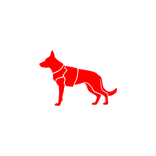 Evgeshaaa0's emblem