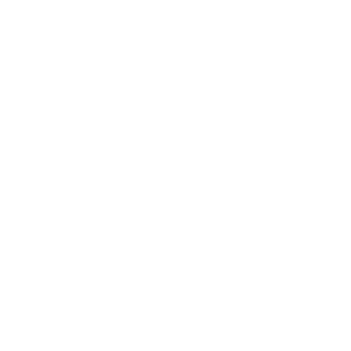 -501st-Coco's emblem