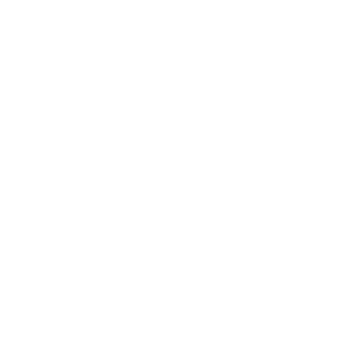 PauloPintoBR's emblem