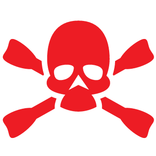 Skynet2009's emblem