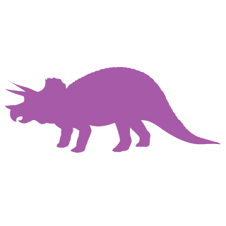 Constyyy's emblem