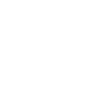AlCapoontang's emblem
