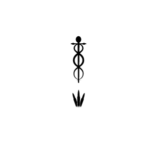 JimmyBattlefront's emblem
