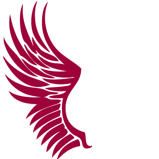 Rapsterq's emblem