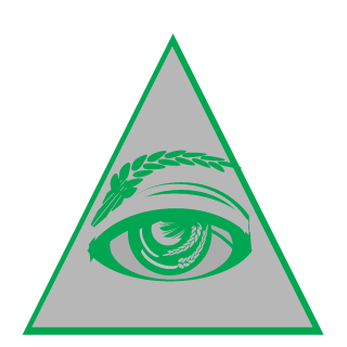 MrWizard9744's emblem
