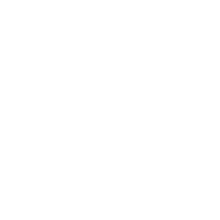 GENERAL NEMISIS's emblem