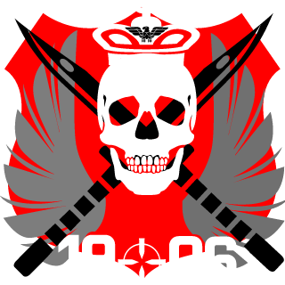 SABRE FIRE's emblem