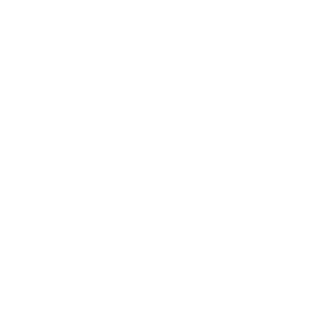 55dFATO's emblem
