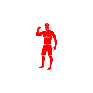 Skyewauker's emblem