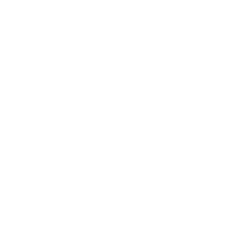 alekcey96's emblem