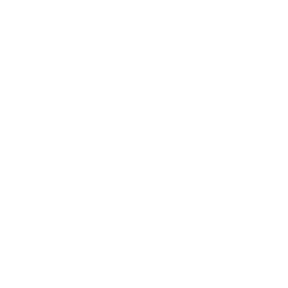 Demiy4383's emblem