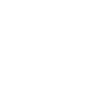 875f6e31ebde8c06's emblem