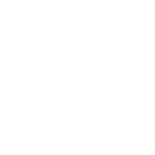 DWC80527's emblem