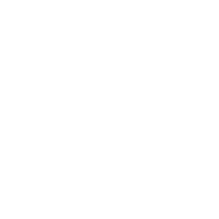 Zirk-88's emblem
