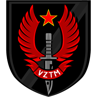 VZVOD's emblem
