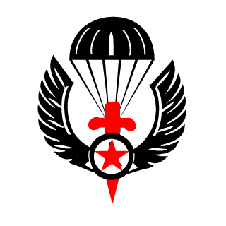 Shades029's emblem