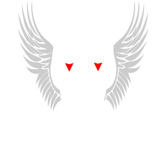 WingZeroh's emblem
