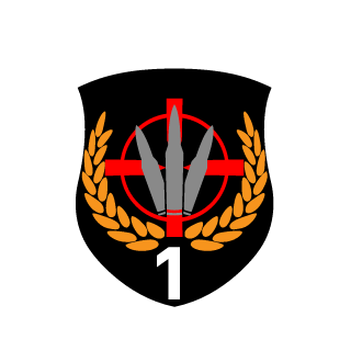 BlackKnight347's emblem