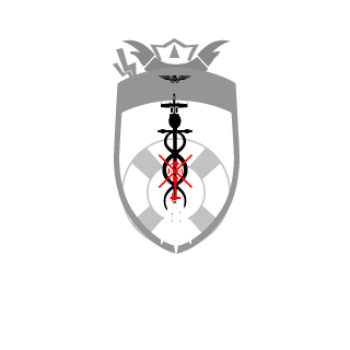 h-1724h's emblem