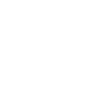 RendyTorres12's emblem