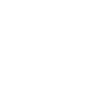 Leeliv21's emblem