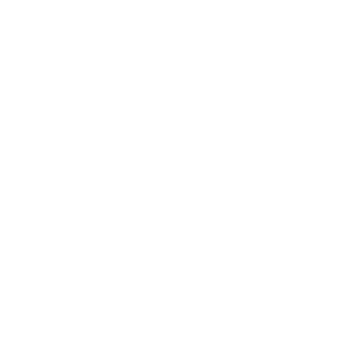 10CAHTUMETPOB's emblem