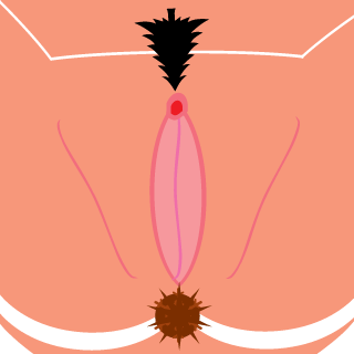 steelo666's emblem