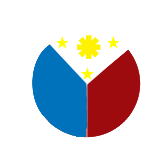 dilaudidmaxxer's emblem
