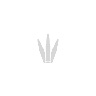 paulosouzalive's emblem