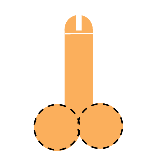 SS guap's emblem