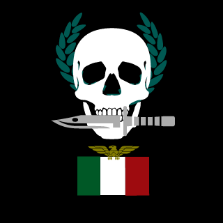 TheComm9600's emblem
