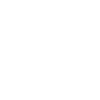 DeV4473's emblem