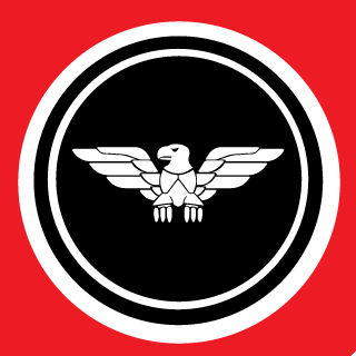P4ND4_KISS's emblem