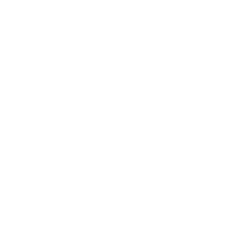 leadneverfollow5's emblem