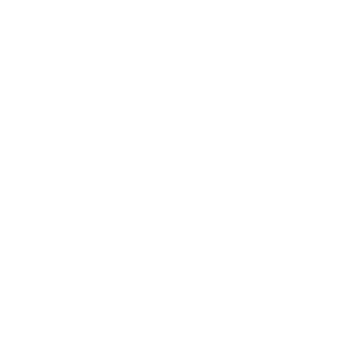 maganus96's emblem