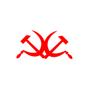 cosmicturtle420's emblem