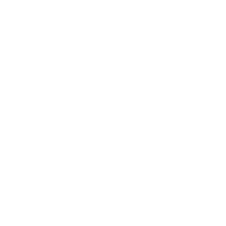 VenomV2's emblem